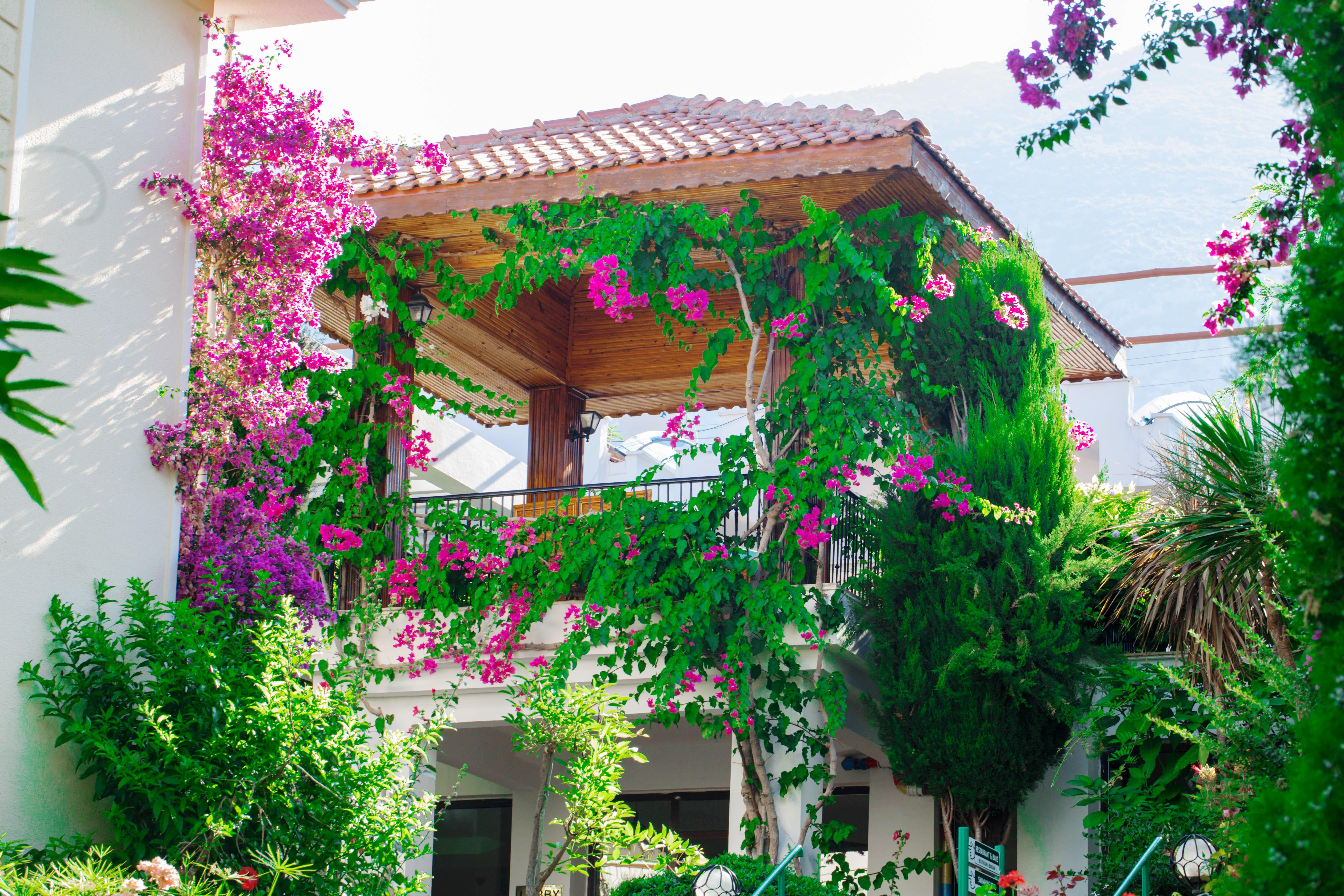Yel Holiday Resort Oludeniz Exterior foto